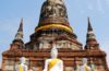 Khao Sok und Mangroventour: Zwei grüne Tipps für den Thailand Urlaub