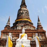 Khao Sok und Mangroventour: Zwei grüne Tipps für den Thailand Urlaub